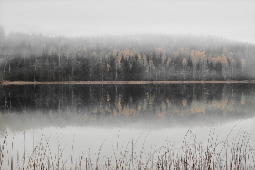 Misty Autumn Lake by Christina Sillen