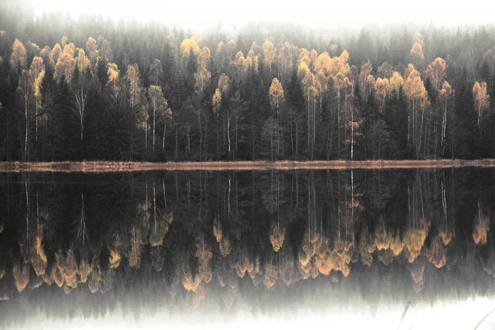 Misty Autumn Reflection by Christina Sillen
