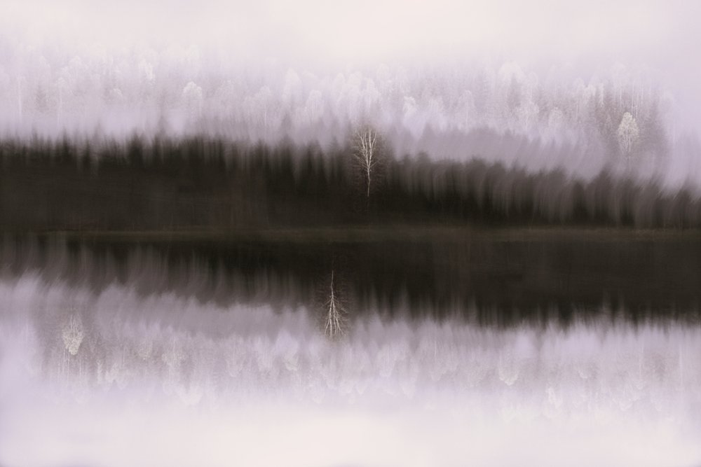 Misty Birch Reflection by Christina Sillen