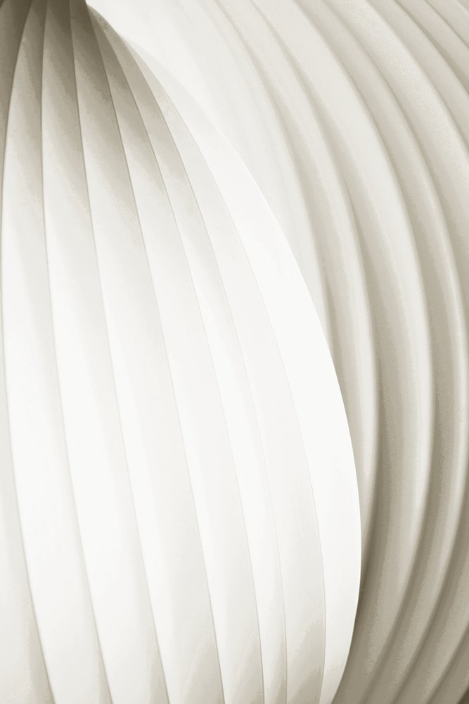 Soft Flowing Curves by Christina Sillen