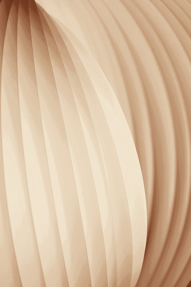 Soft Organic Curves by Christina Sillen