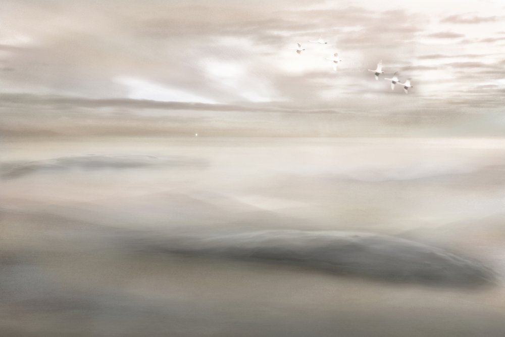 Swan Song To The Mist by Christina Sillen