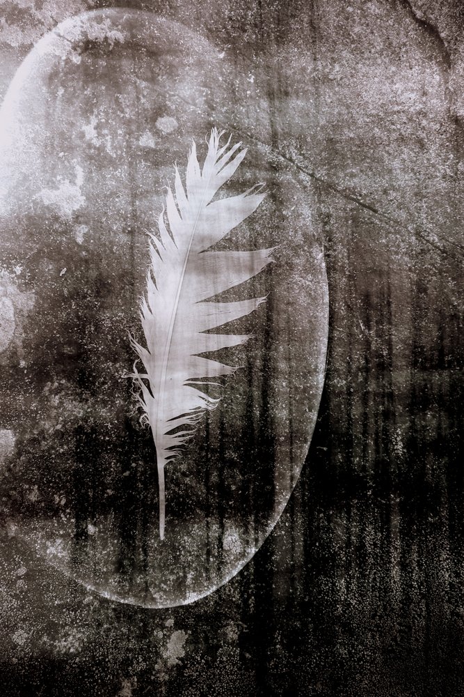 White Feather Moon by Christina Sillen