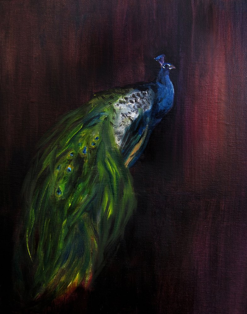 Regal Peacock Portrait by Christine Lindstrom