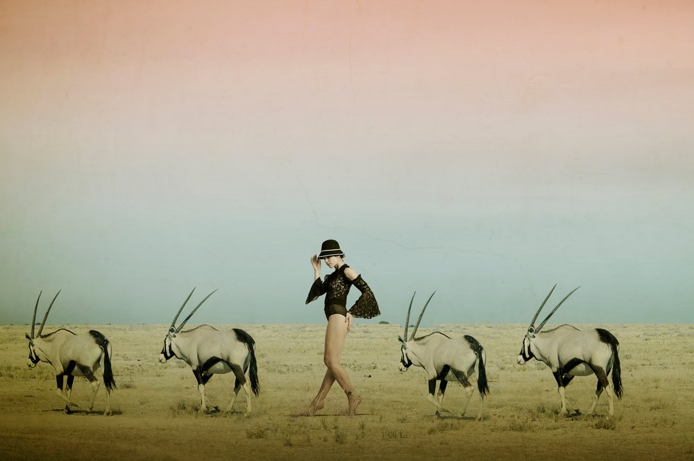Desert Walk With Oryx by Christine von Diepenbroek