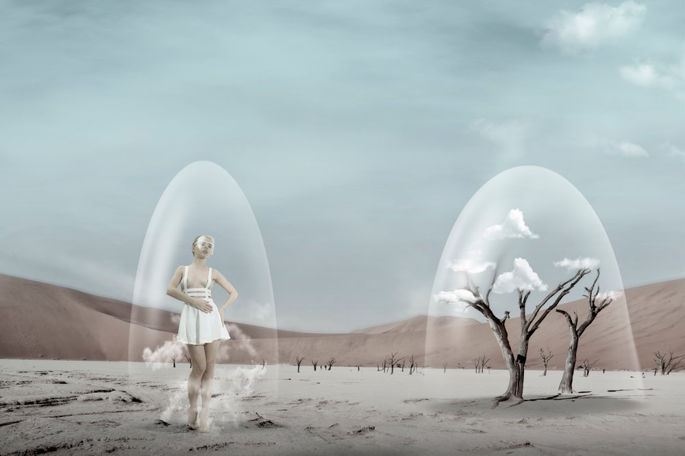 Fragile Desert Dream by Christine von Diepenbroek