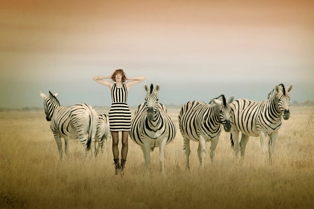 Matching Stripes by Christine von Diepenbroek