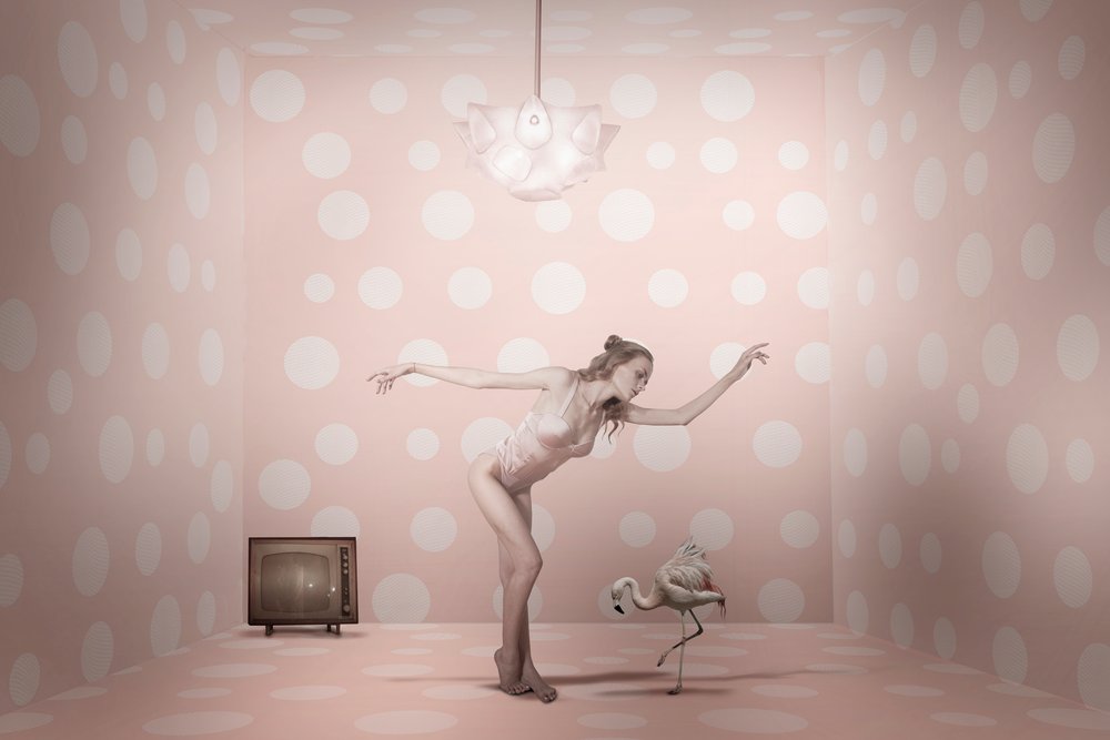 Pink Polka Dot Flamingo Dancer by Christine von Diepenbroek
