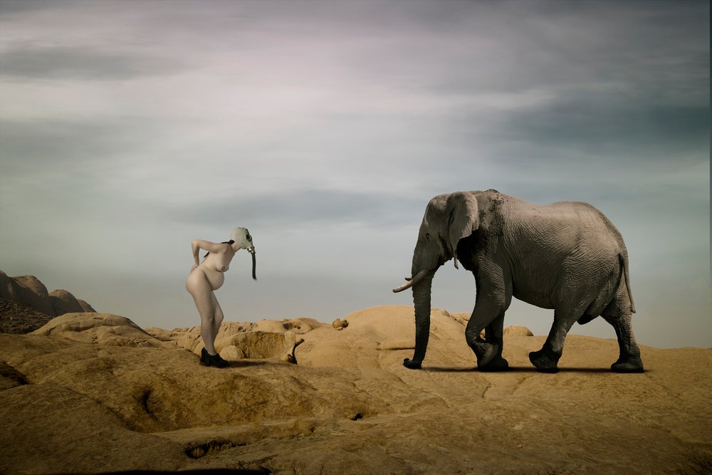 Surreal Desert Encounter by Christine von Diepenbroek