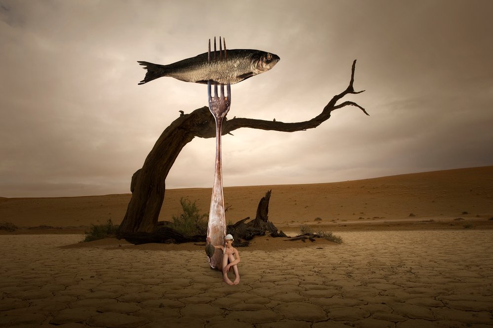 Surreal Desert Fish by Christine von Diepenbroek