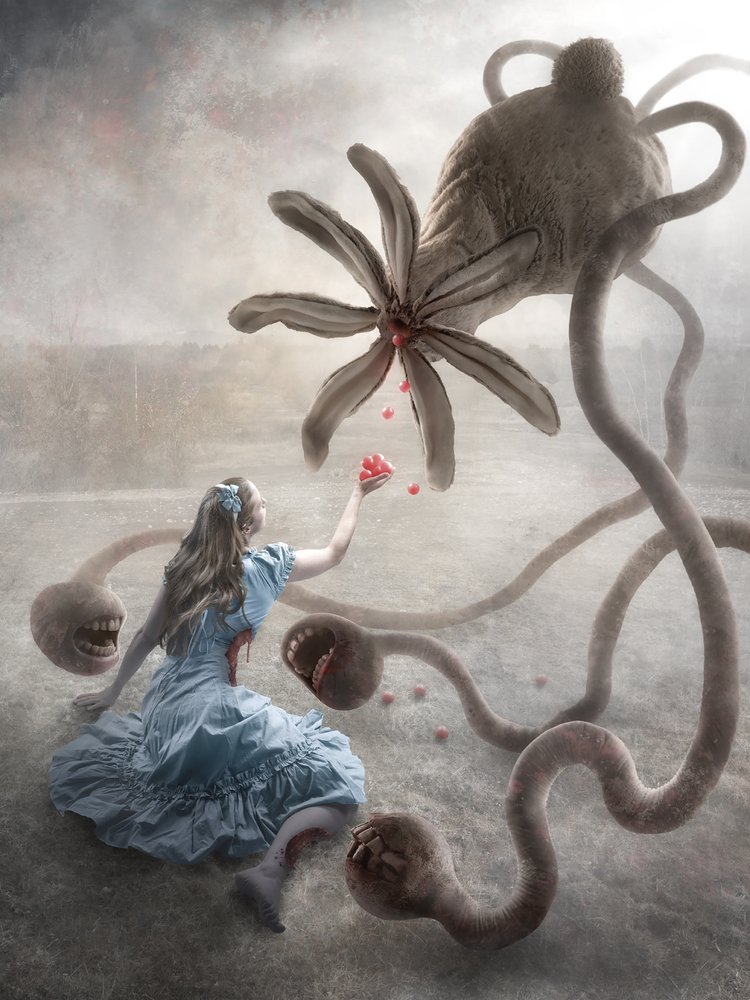 Macabre Wonderland by Christophe Kiciak