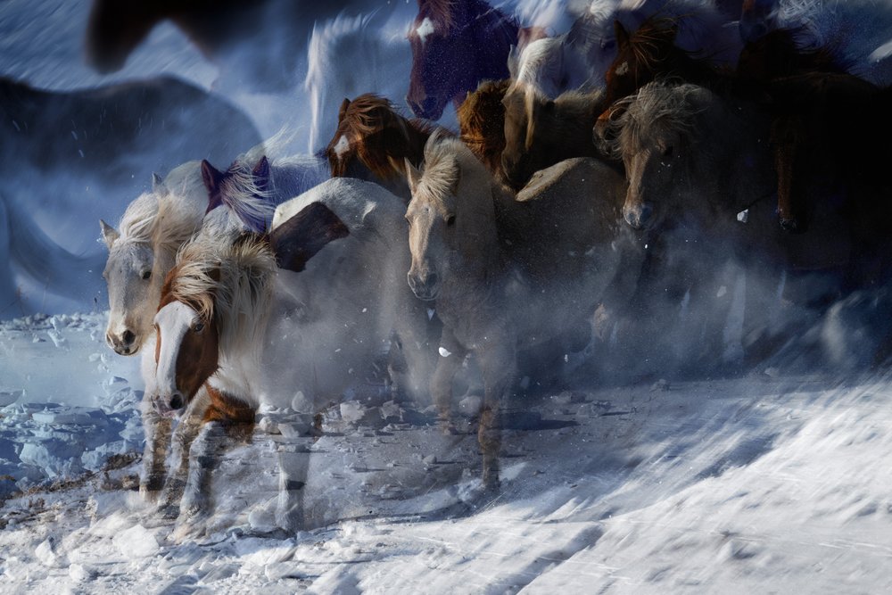 Ethereal Wild Horses by Chuanxu Ren