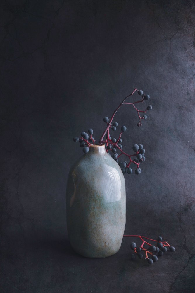 Dark Berries in Vase by Cicek Kiral