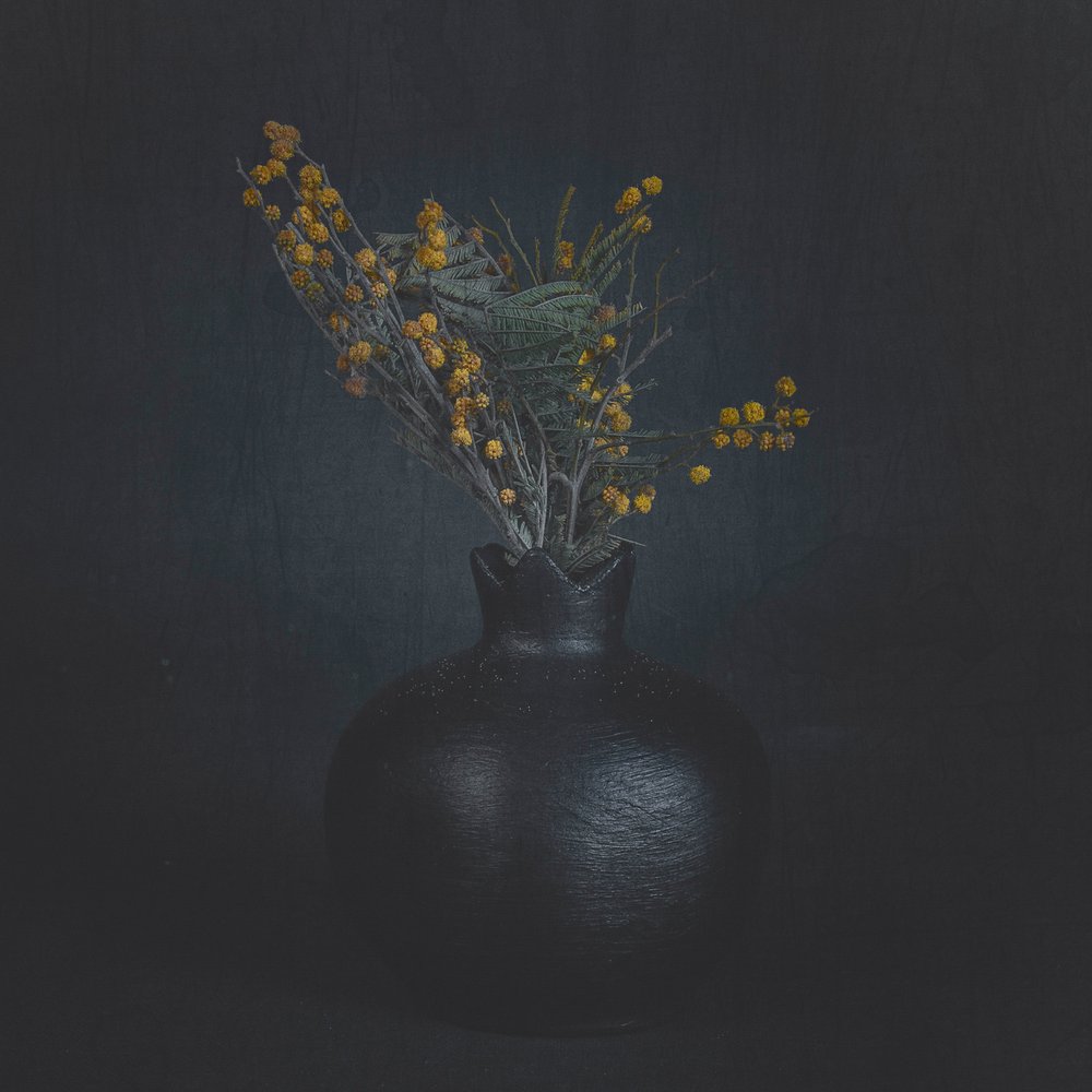 Dark Floral Still Life by Cicek Kiral