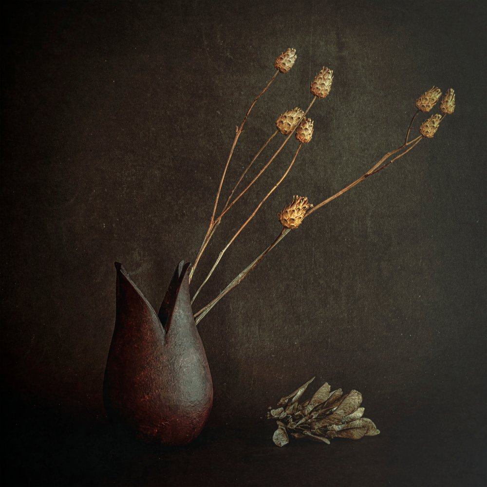 Dark Rustic Botanicals by Cicek Kiral