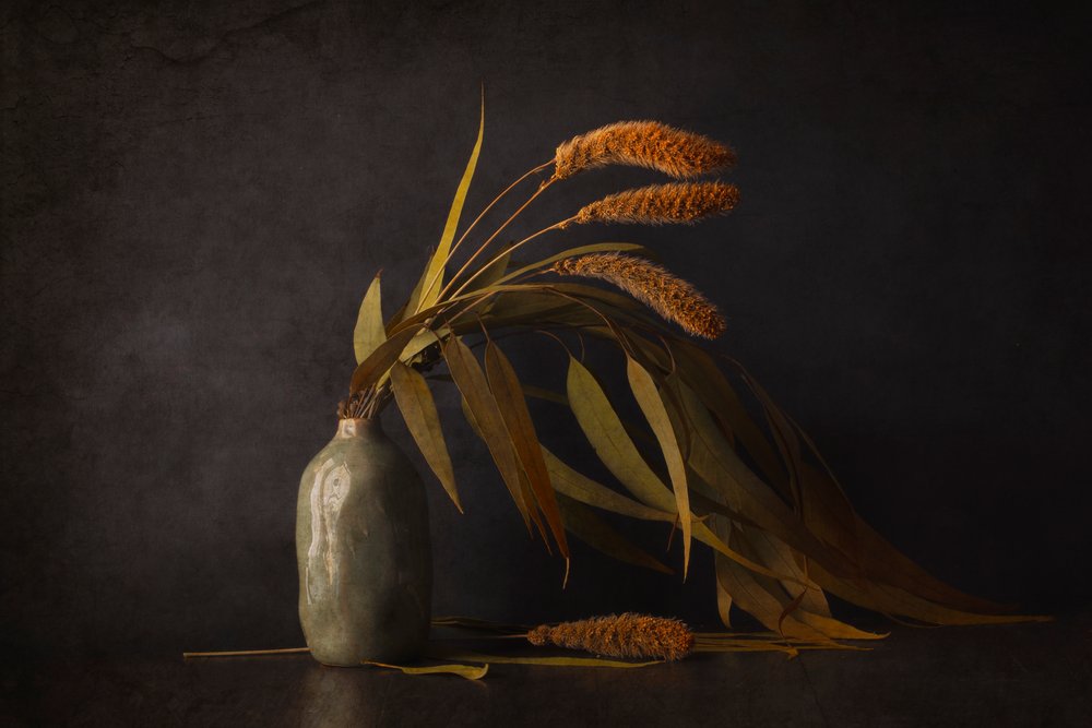 Dried Botanical Still Life by Cicek Kiral