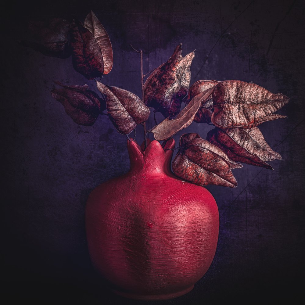 Moody Pomegranate Foliage by Cicek Kiral