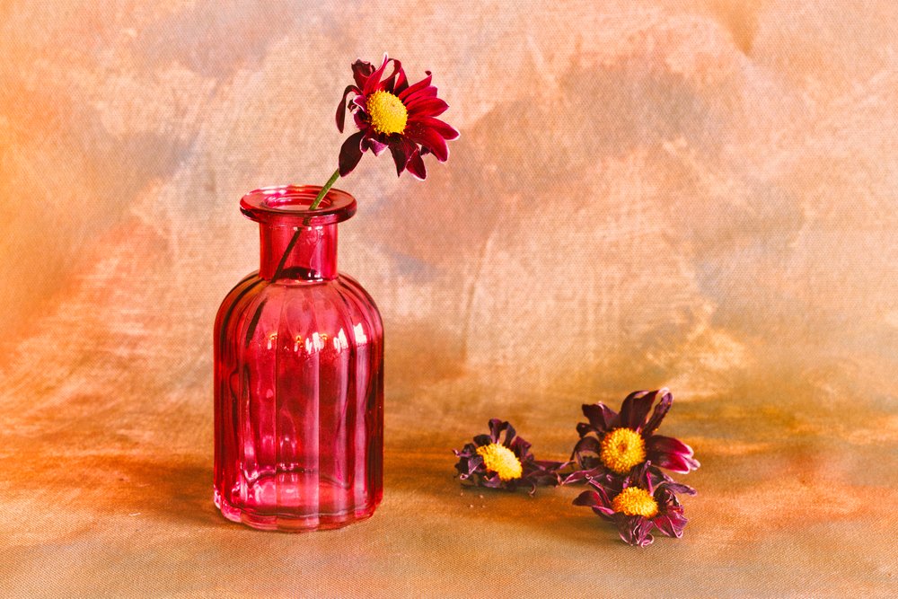 Moody Red Dahlias by Cicek Kiral