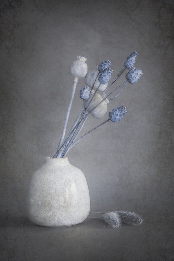 Serene Dried Flowers by Cicek Kiral