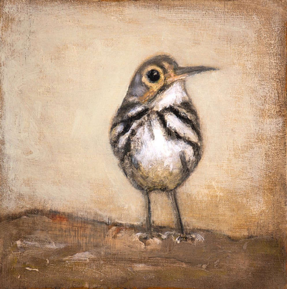 Curious Little Bird by Claire Lerner