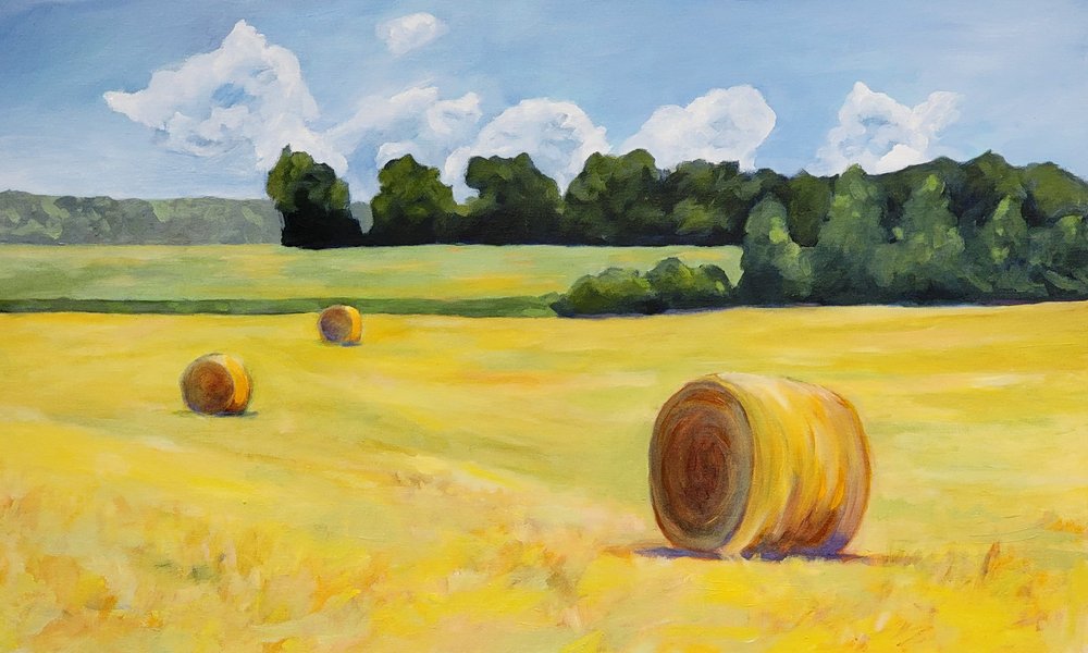 Golden Hay Field by Claire Whitehead