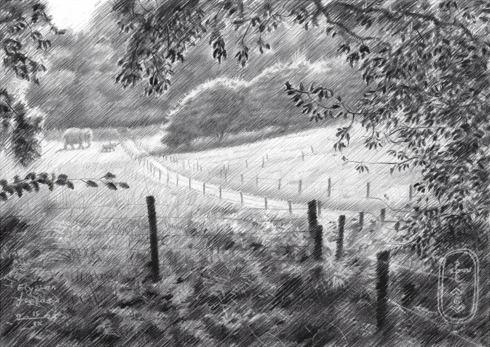 Peaceful Countryside Path by Corné Akkers