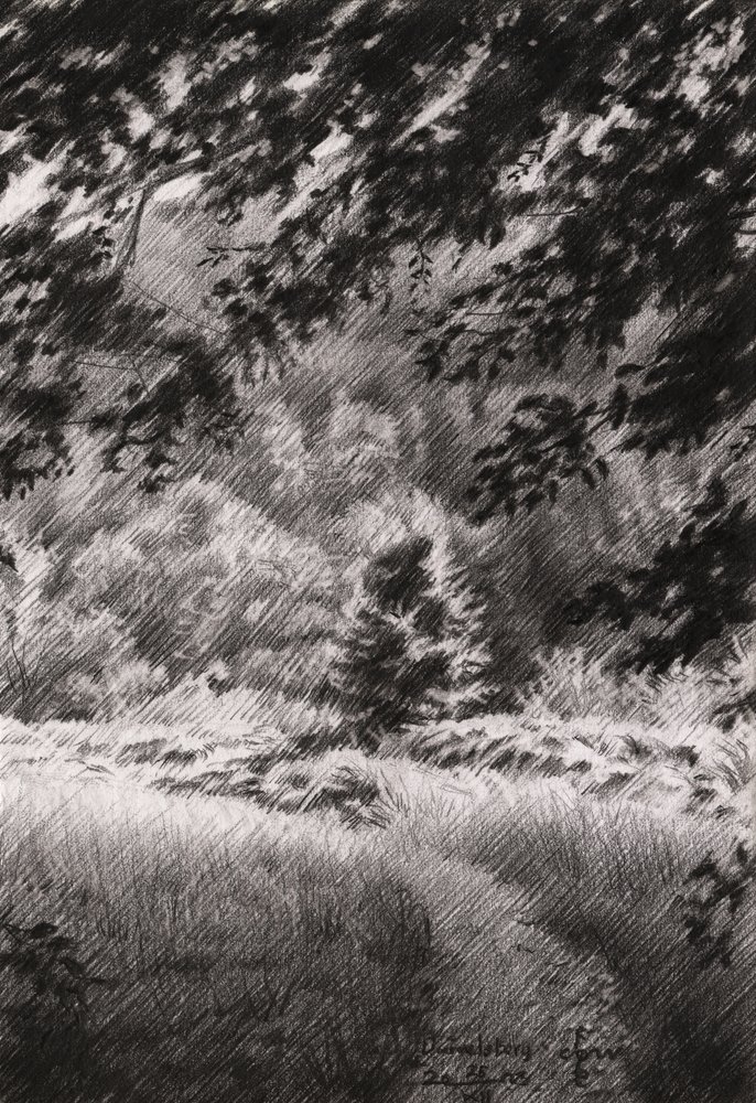 Peaceful Forest Path by Corné Akkers