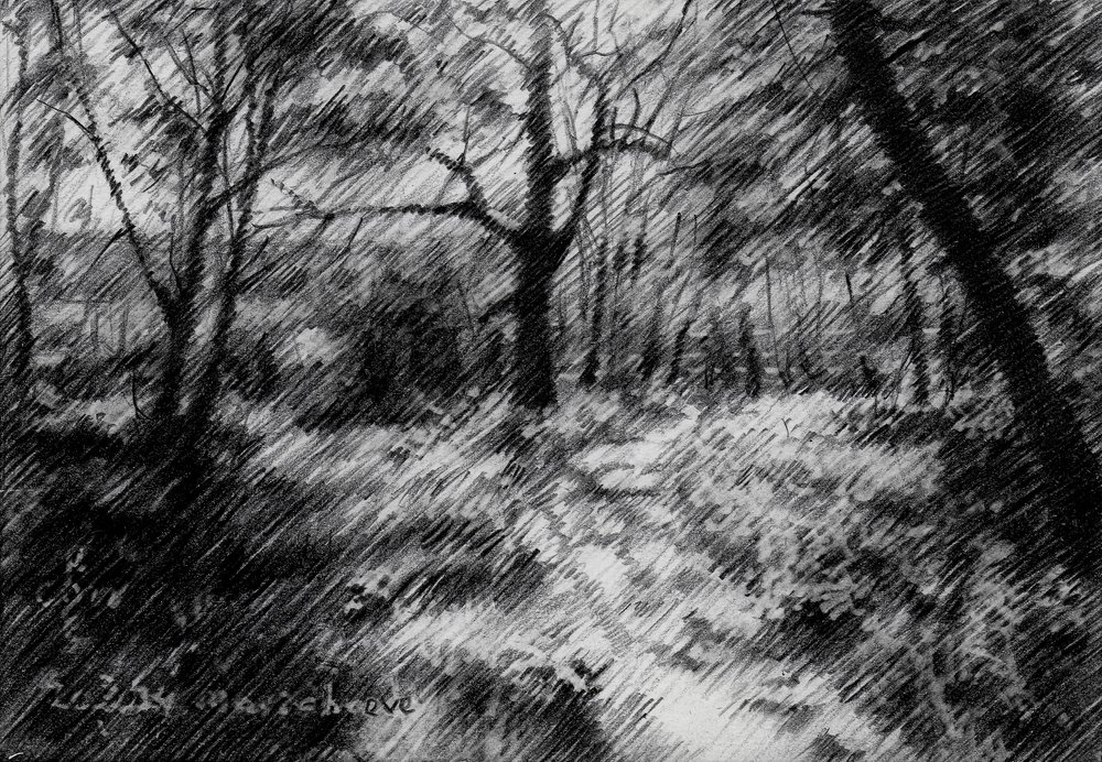 Shaded Forest Path by Corné Akkers