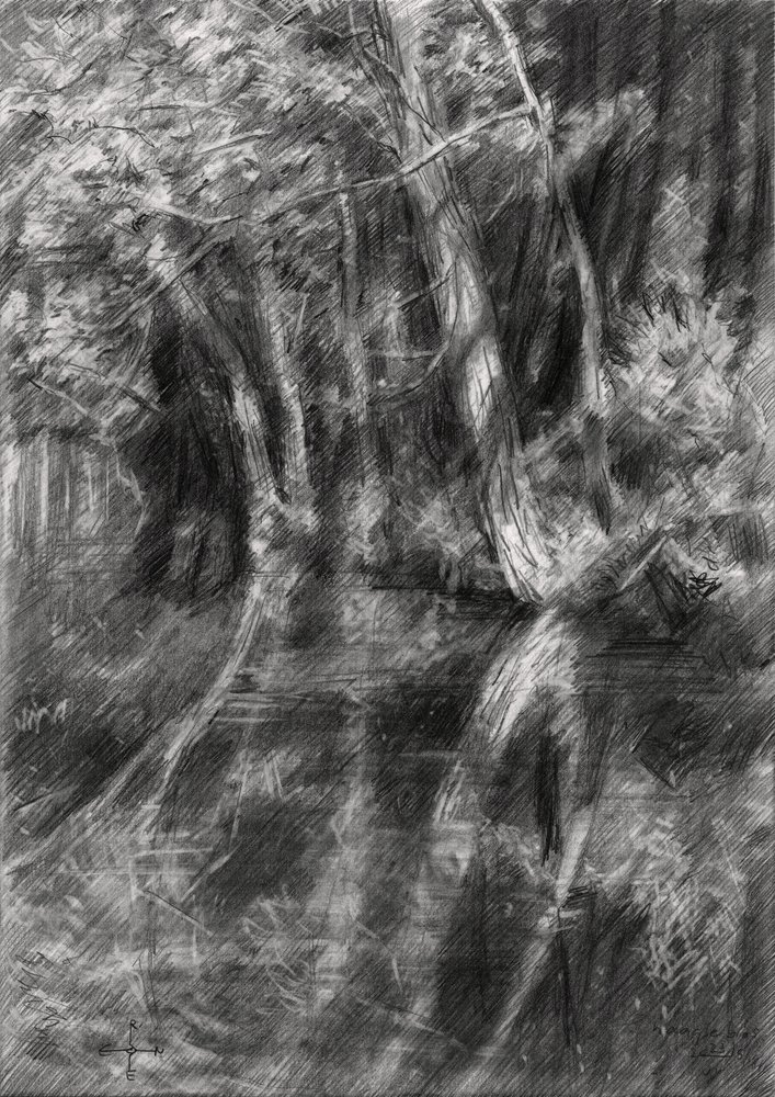 Shaded Forest Stream by Corné Akkers