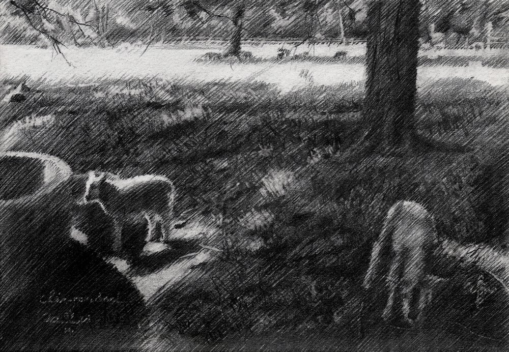 Shaded Pasture Sheep Sketch by Corné Akkers