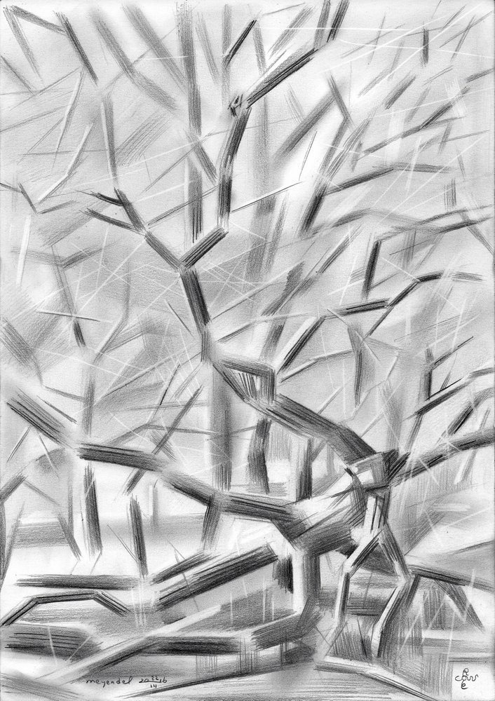 Stark Winter Trees by Corné Akkers