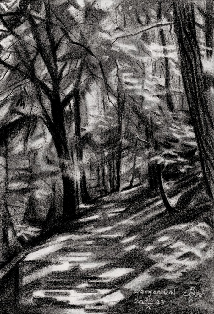 Sunlit Forest Path by Corné Akkers
