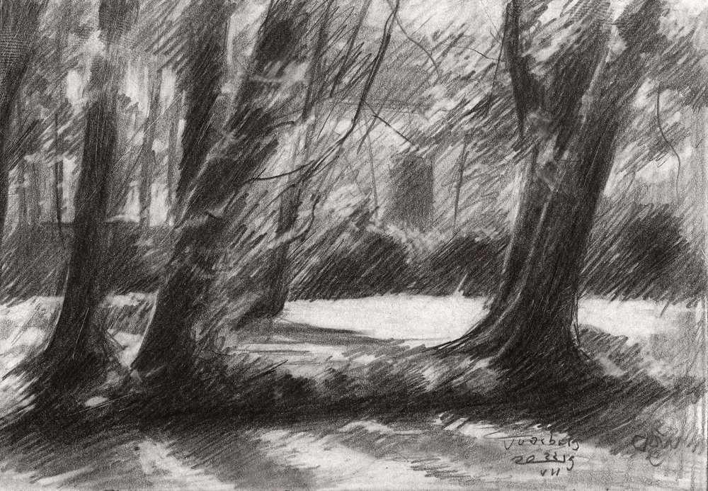 Tranquil Woodland Path by Corné Akkers