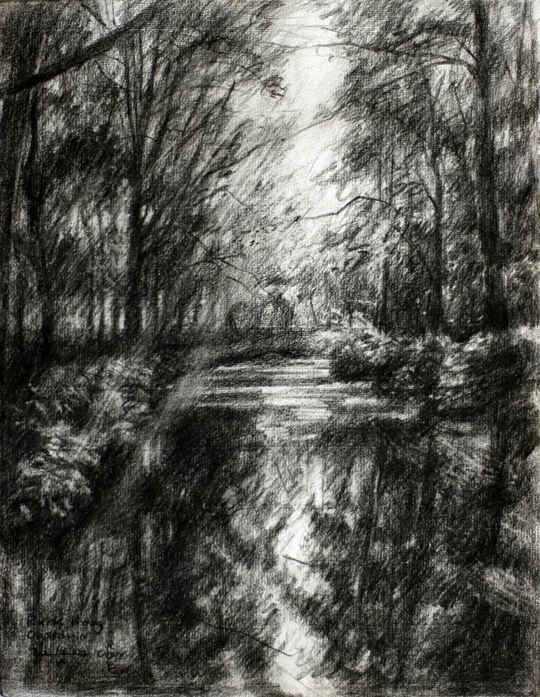 Winding Forest Path by Corné Akkers