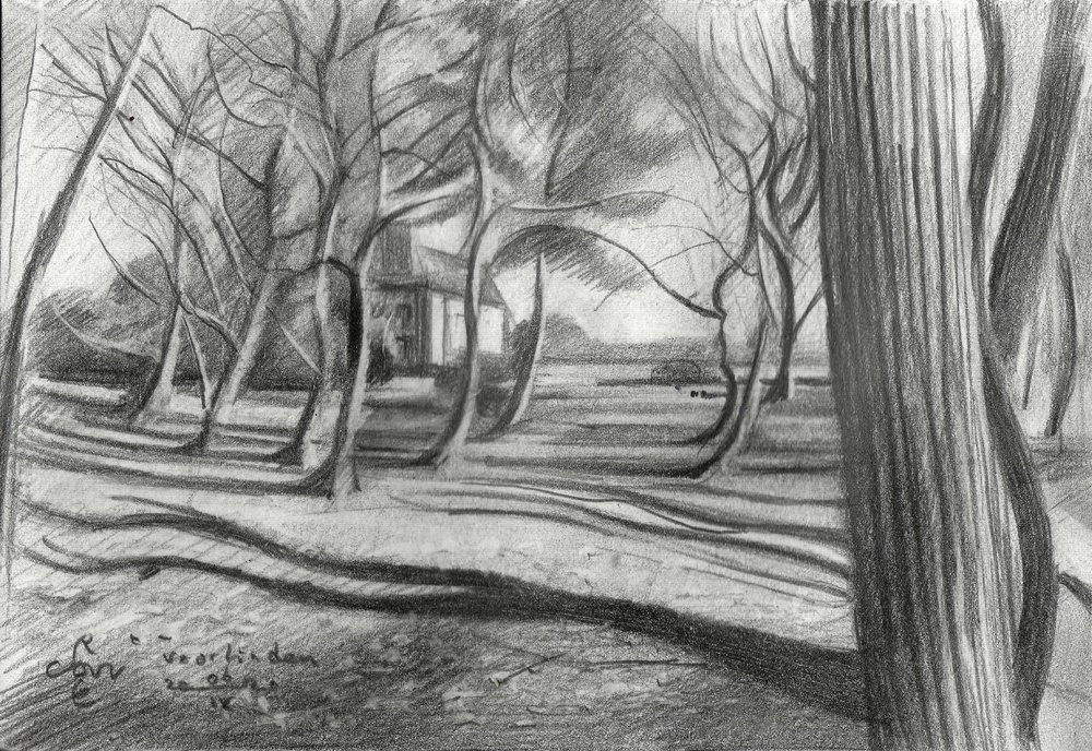 Winter Forest Shadows by Corné Akkers