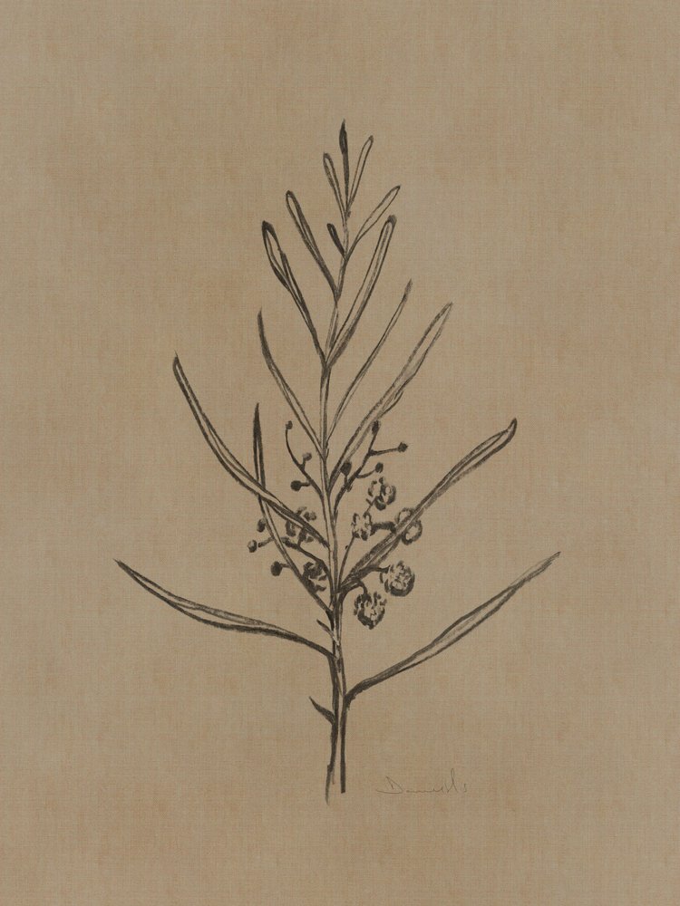 Blackwood Sapling by Dan Hobday