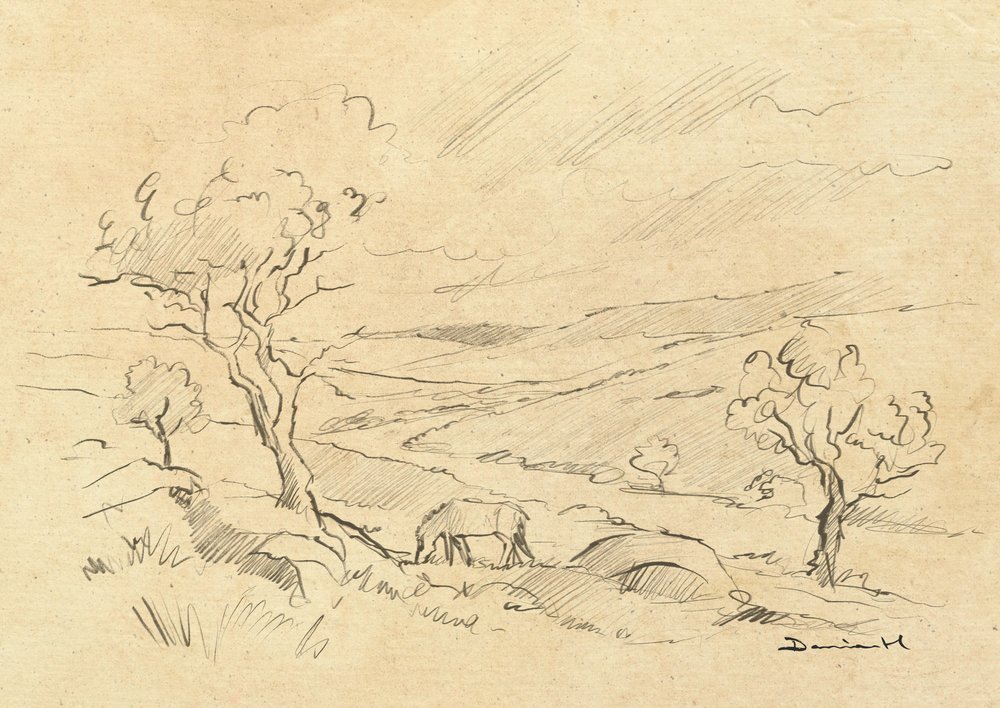 Dartmoor Pony by Dan Hobday