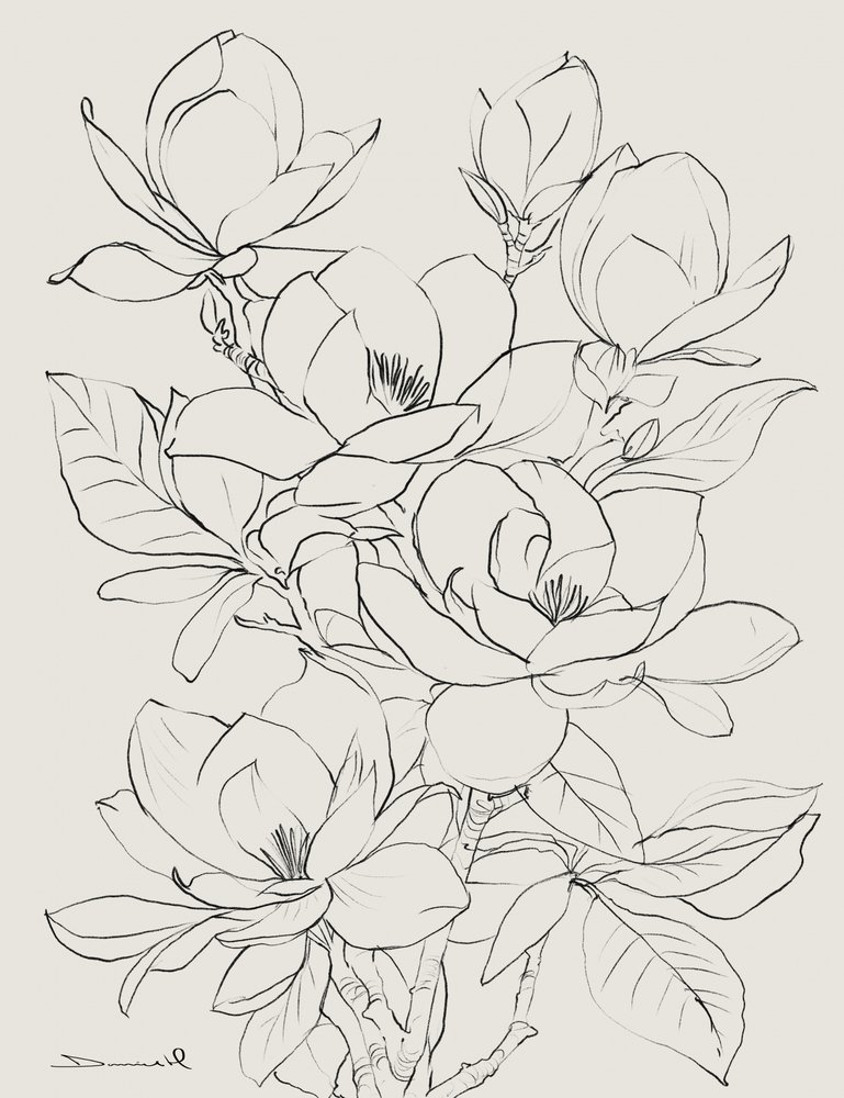 Magnolia Tree by Dan Hobday