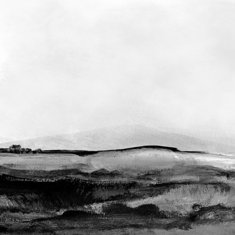 Mono Landscape No1 by Dan Hobday