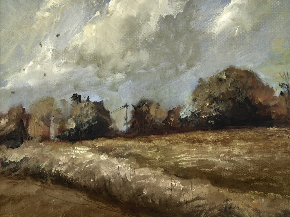 Oak Trees by Dan Hobday