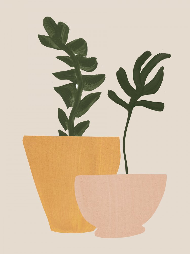 Planted by Dan Hobday