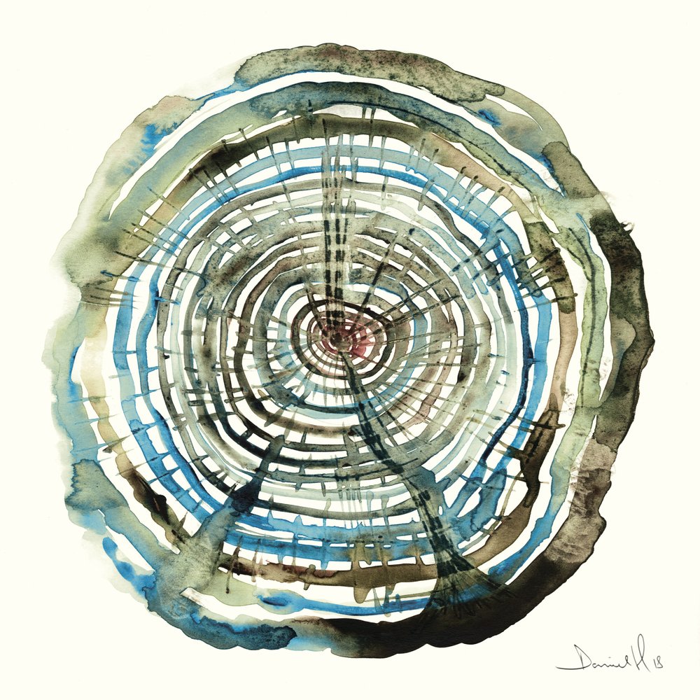 Water Oak by Dan Hobday
