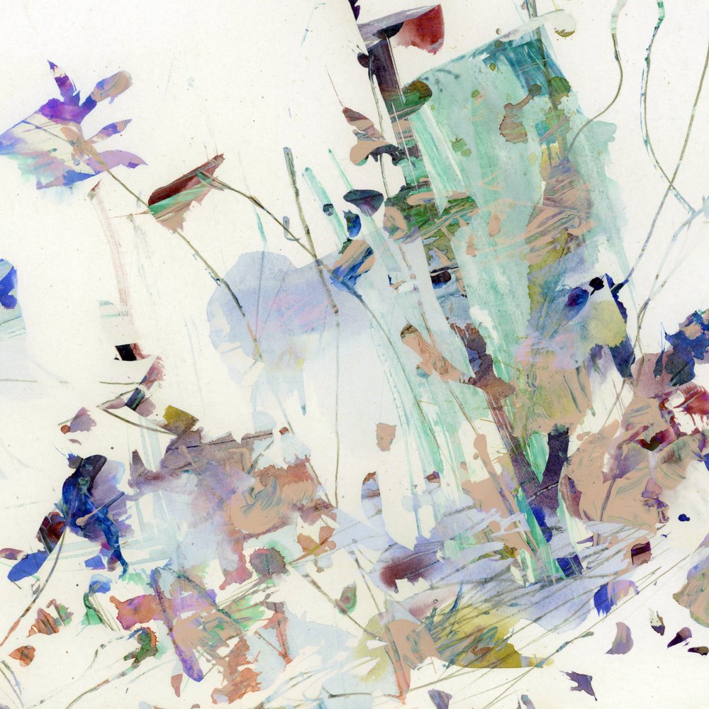 Wild Blooms by Dan Hobday