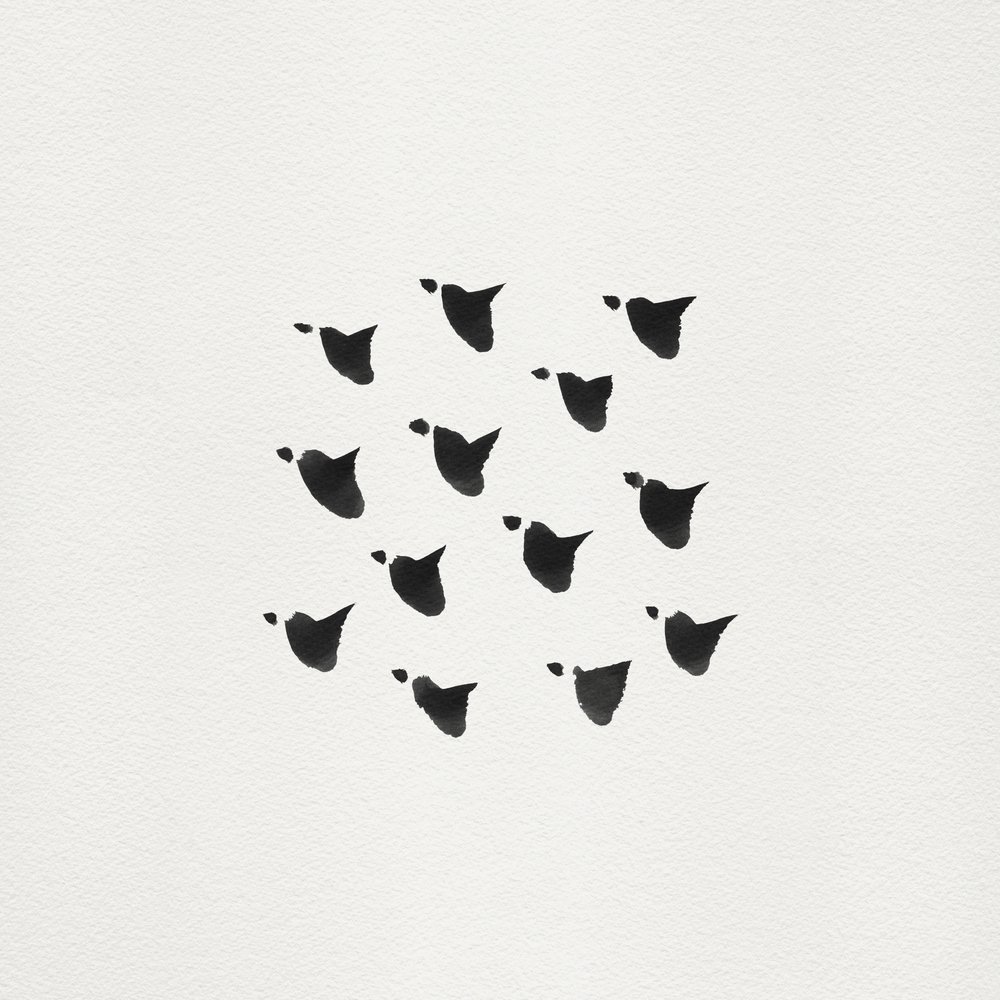 Abstract Flock Flight by Danushka Abeygoda