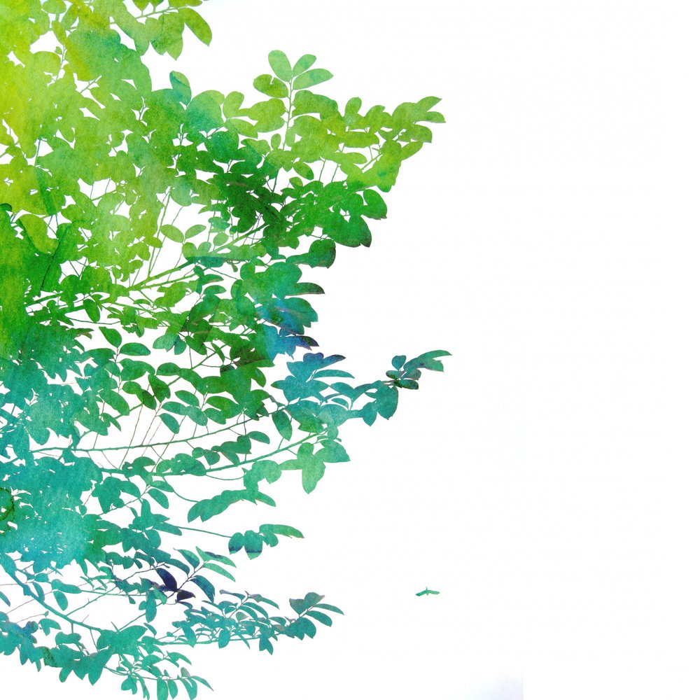 Abstract Watercolor Leaves by Danushka Abeygoda