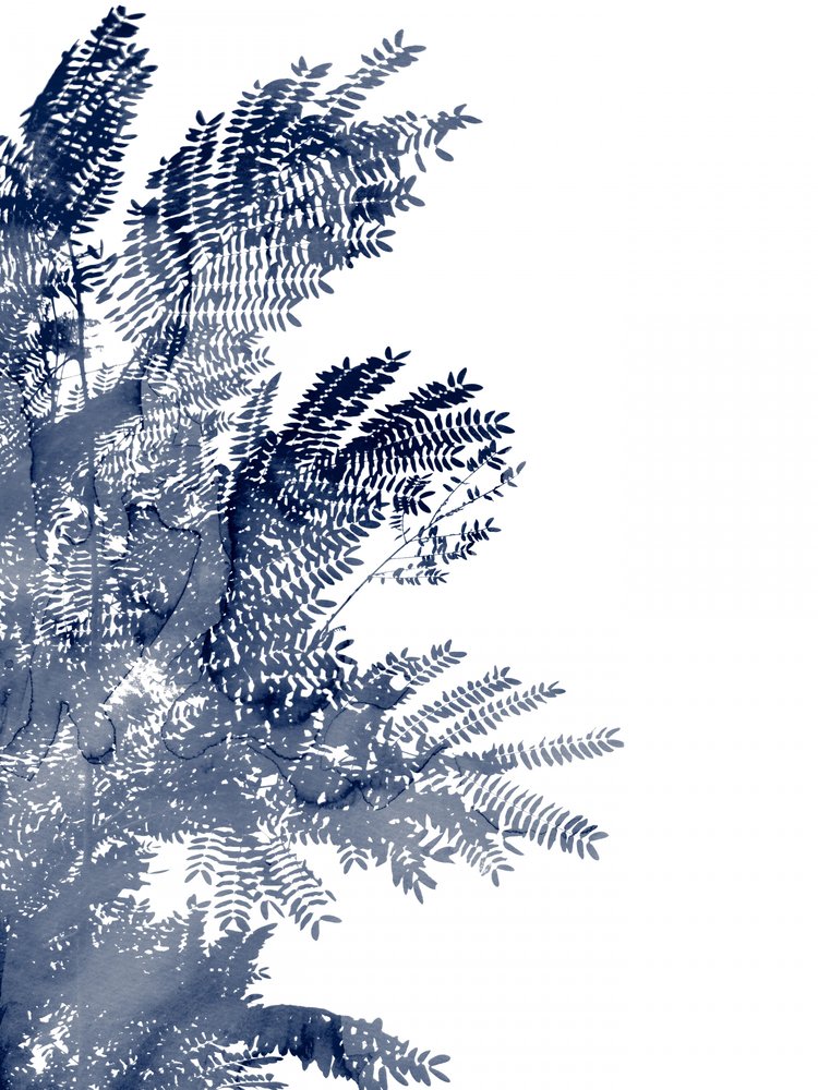 Blue Leaf Canopy by Danushka Abeygoda