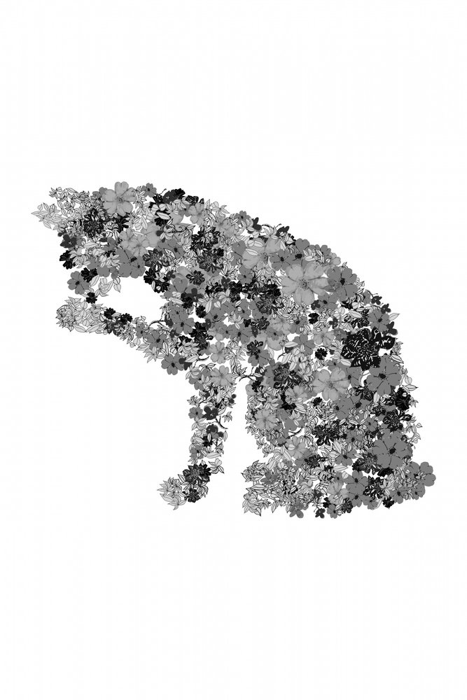 Floral Cat Silhouette by Danushka Abeygoda