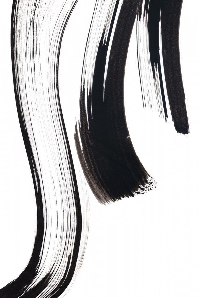 Fluid Ink Strokes by Danushka Abeygoda