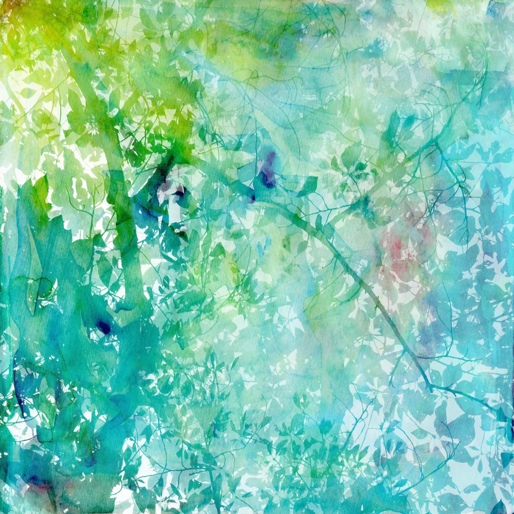 Green Blue Forest Light by Danushka Abeygoda