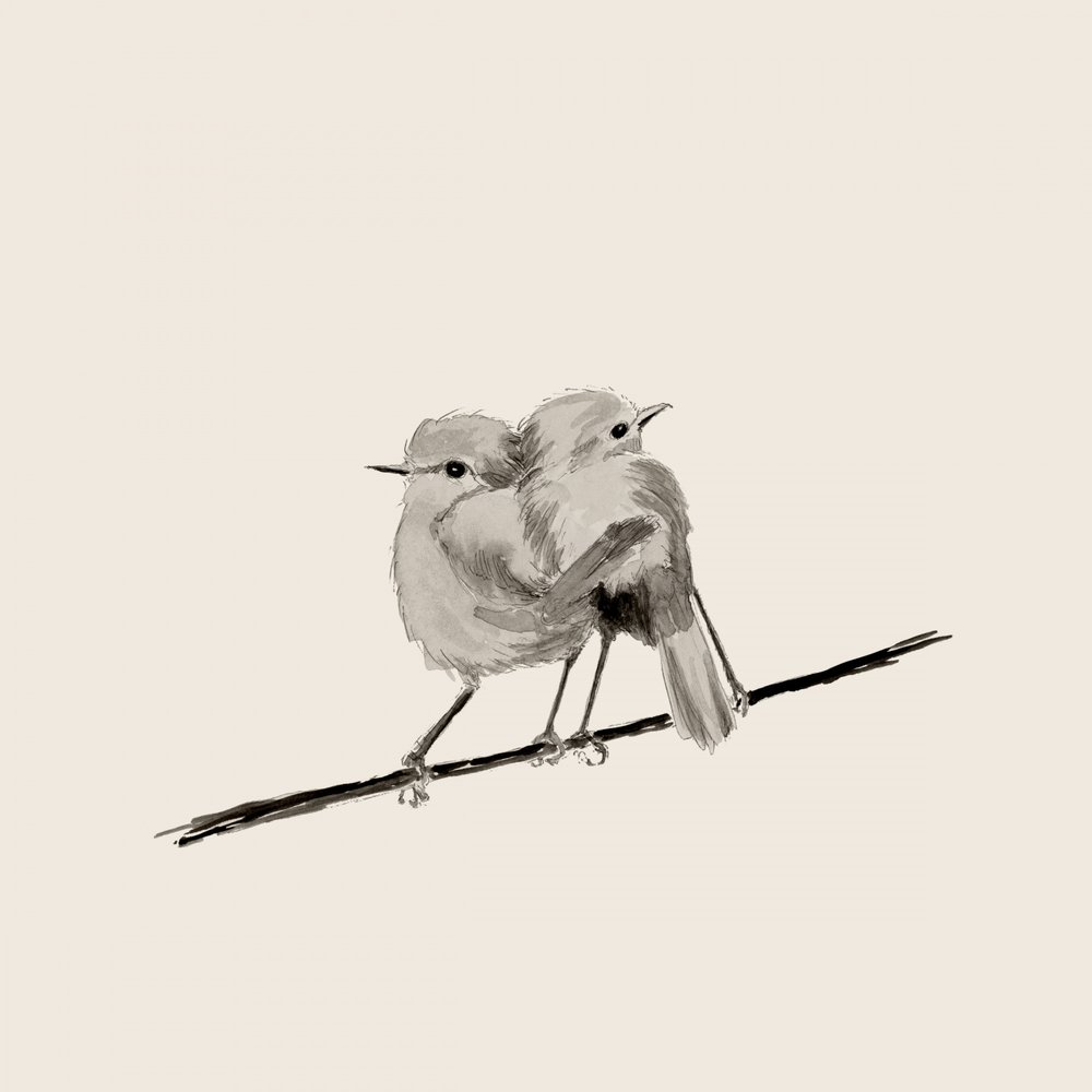 Sweet Bird Couple by Danushka Abeygoda